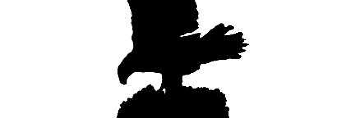 Tree Bird Tree Service